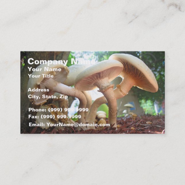 Cartão De Visita Dança dos cogumelos (Frente)