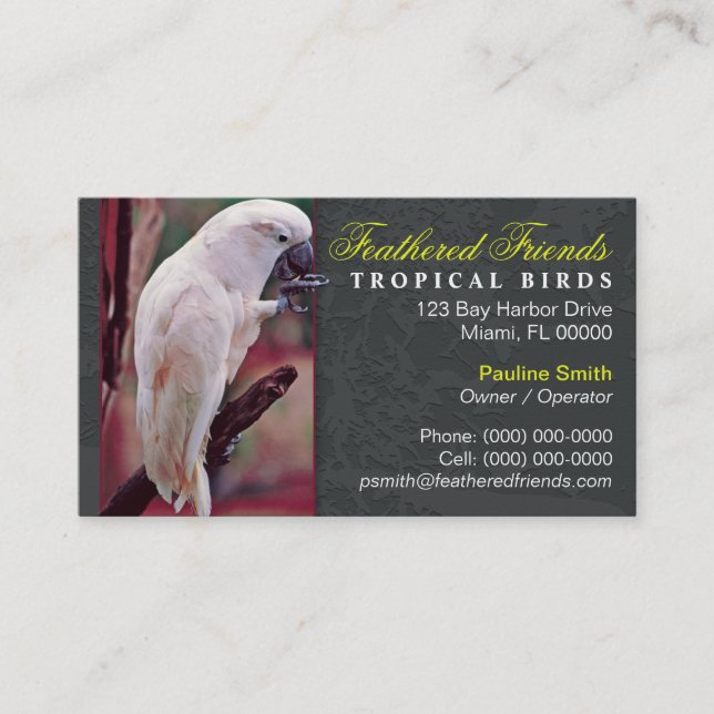 Cartão de Visita de Aves Tropicais (Frente)