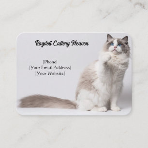 Cartão de visita de Cateria de Ragdoll Personalizá