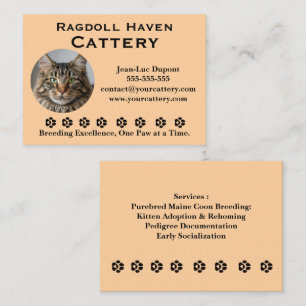Cartão de Visita de Cattery de Ragdoll Personalizá