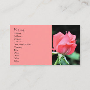 Cartão de visita de Fotografia do Flor Rosebud Ro