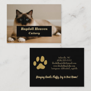 Cartão de Visita de Gatinho Ragdoll Personalizado