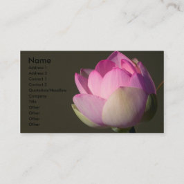 Cartão de visita de Lotus Rosa