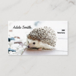 Cartão de visita de norma veterinária para o porco