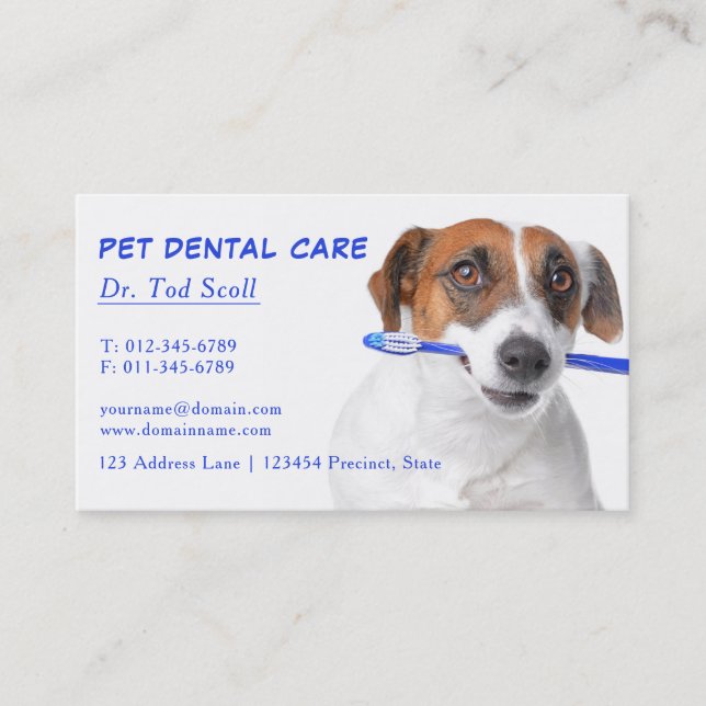 Cartão De Visita Dentista Veterinária Pet Dental (Frente)