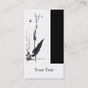 Cartão De Visita DES Prés de Oseille