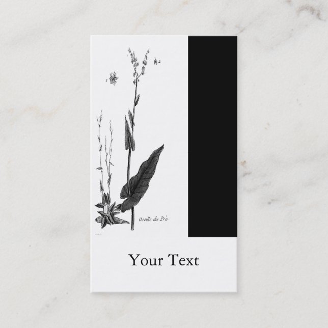 Cartão De Visita DES Prés de Oseille (Frente)