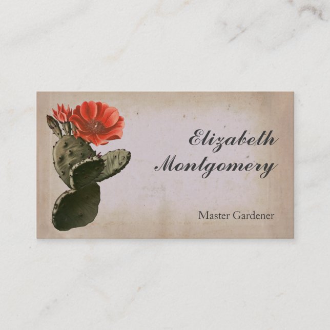 Cartão De Visita Desert Cactus Flower Professional (Frente)