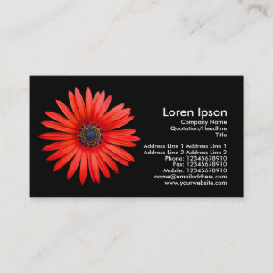 Cartão De Visita Diabo vermelho - preto