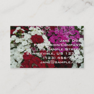 Cartão De Visita Dianthus Floral Branco, Rosa e Vermelho