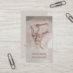 Cartão De Visita Dinossaur Bones Paleontólogo Design pré-históri