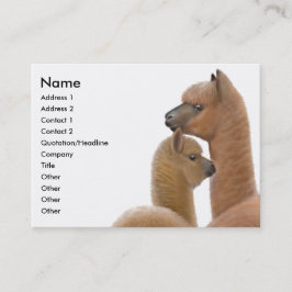 Cartão de visita do amor da alpaca