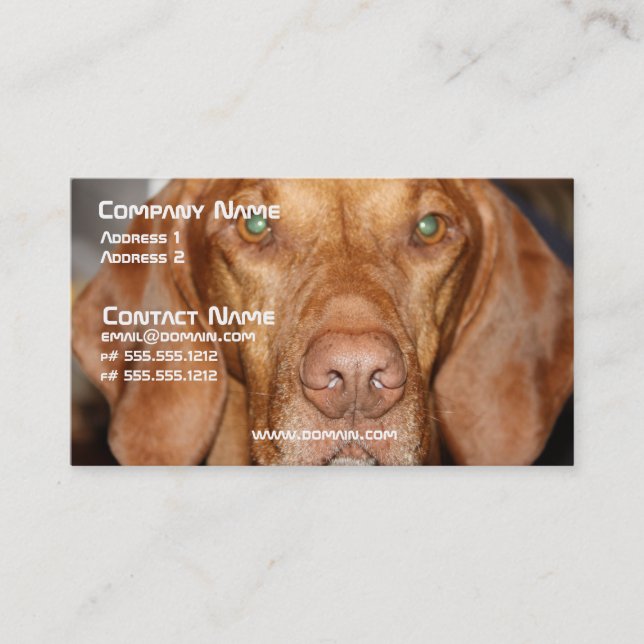 Cartão de visita do cão do racum (Frente)