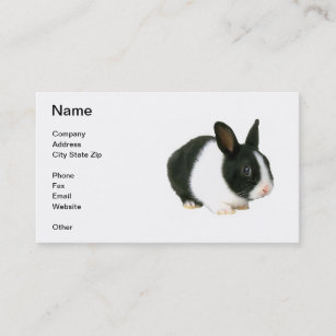 Cartão de visita do coelho de coelho do anão preto