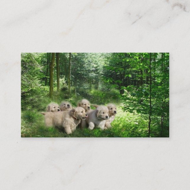 Cartão de visita do criador do golden retriever (Frente)