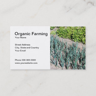 Cartão de visita do cultivo orgânico