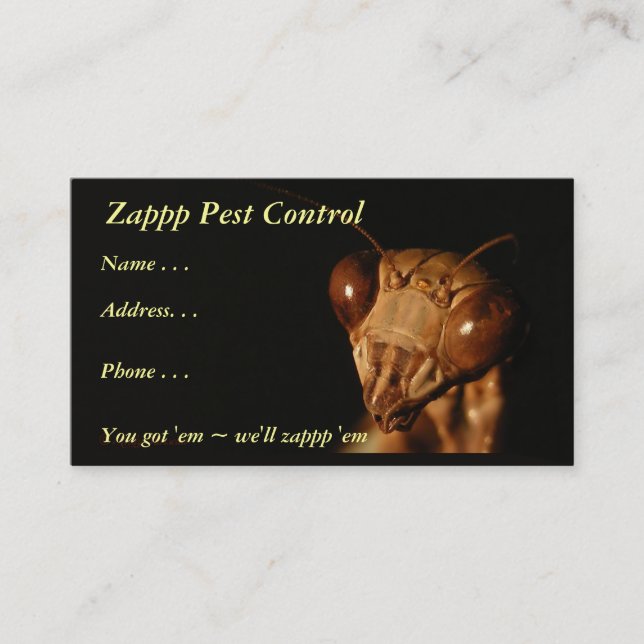 Cartão de visita do ~ da louva-a-deus 15 (Frente)