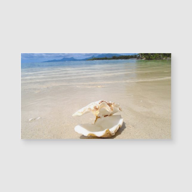 Cartão de visita do ímã da praia do Seashell (Frente)
