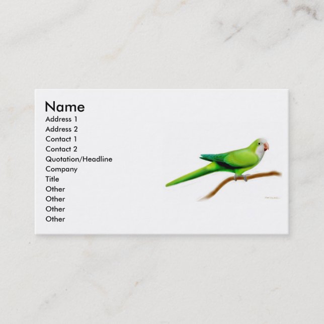 Cartão de visita do papagaio do quacre (Frente)