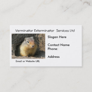 Cartão de visita do Vermin do roedor
