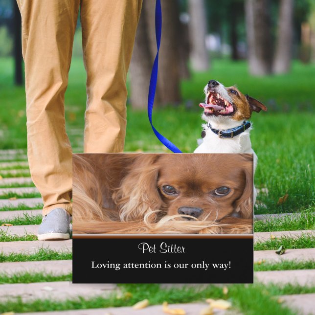 Cartão De Visita Dog Sitter Ruby Cavalier King Charles Spaniel (Charming pet sitting business card - warmth, trust, and cuteness unleashed!)