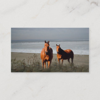 Cartão de visita dos cavalos da praia