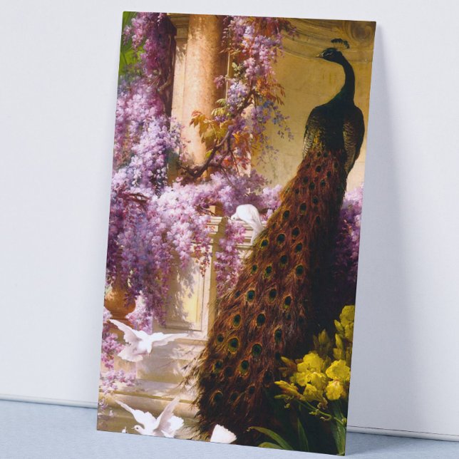 Cartão De Visita Dovs e Peacocks em um Jardim (Criador carregado)