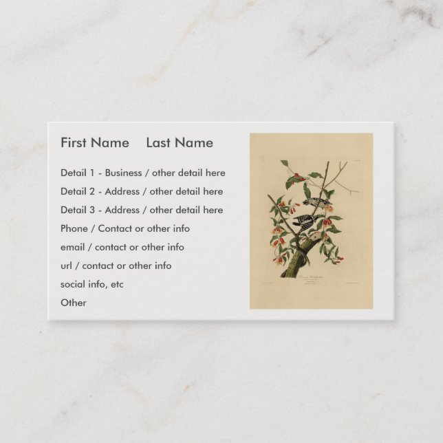 Cartão De Visita Downy Woodpecker - das Aves da América de Audubon (Frente)