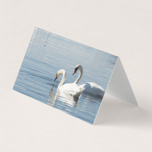 Cartão De Visita Duas cisnes