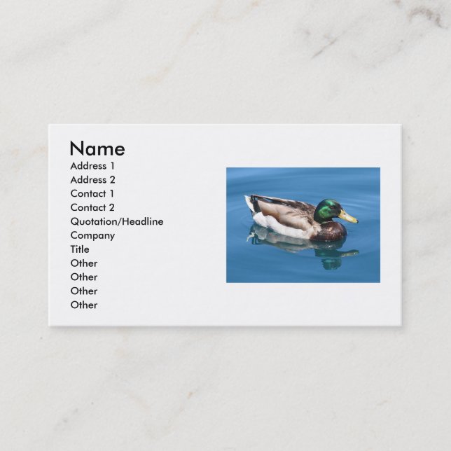 Cartão de visita Duck (Frente)
