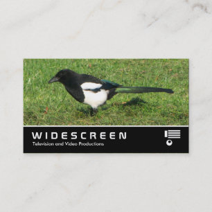 Cartão De Visita Ecrã panorâmico 367 - Magpie europeu