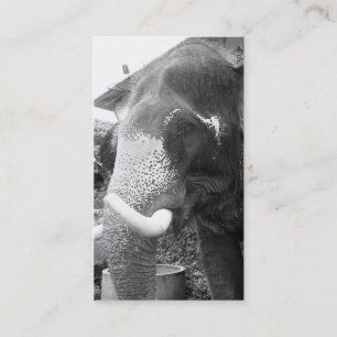Cartão De Visita Elefante preto e branco