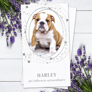 Cartão De Visita Elegante Silver Stars Fotografia Personalizada QR 