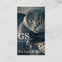 Embarque De Pet De Cat Care E Spa
