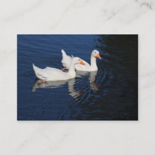 Cartão De Visita Emden Geese
