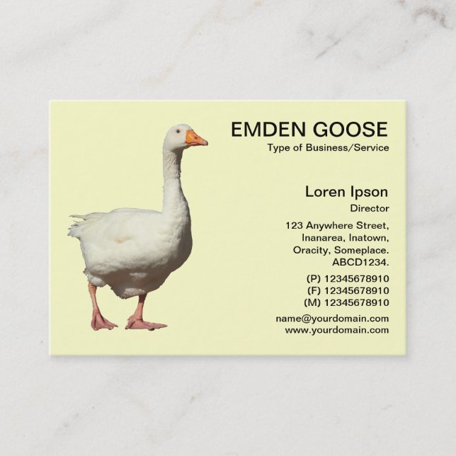 Cartão De Visita Emden Goose - Amarelo pálido (Frente)