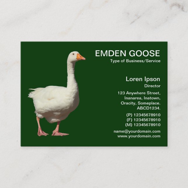 Cartão De Visita Emden Goose - Floresta Escura |Verde (Frente)