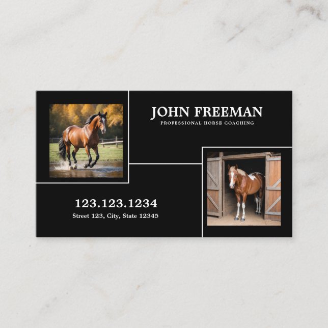 Cartão De Visita Equídeo de Fotografias de Cavalos Pretos e Brancos (Frente)