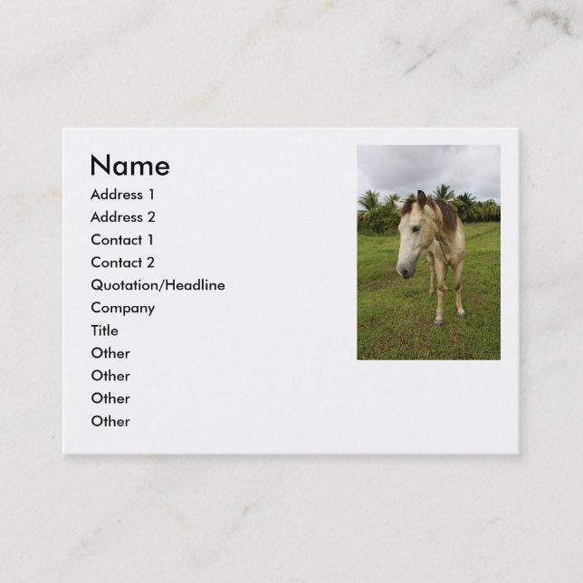 Cartão De Visita Errand, (Frente)