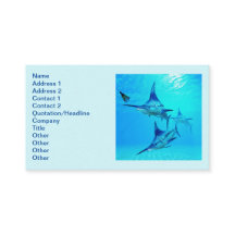 Espadins após pesca em casco