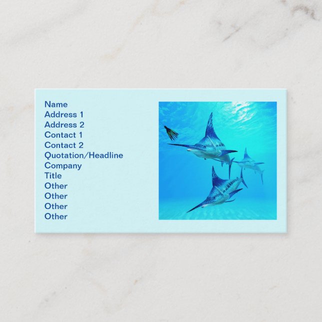 Cartão De Visita Espadins após pesca em casco (Frente)