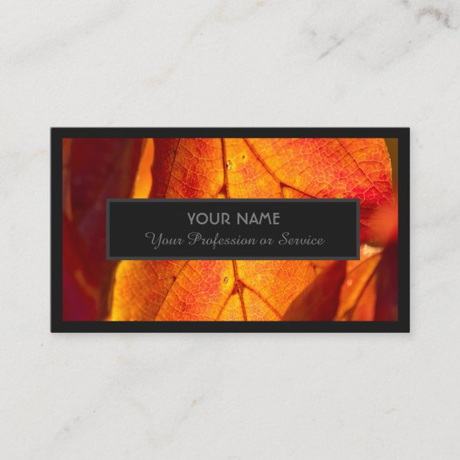 Cartão De Visita Especialistas em jardins e designers naturais (Frente)