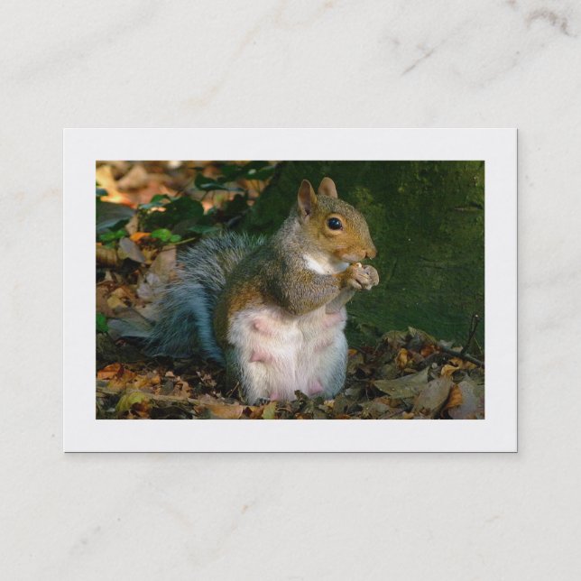 Cartão De Visita Esquilo de cinza (Bordado) (Frente)