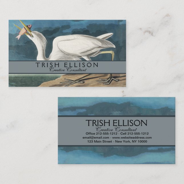 Cartão De Visita Excelente White Heron Audubon Bird Willife Paintin (Frente/Verso)