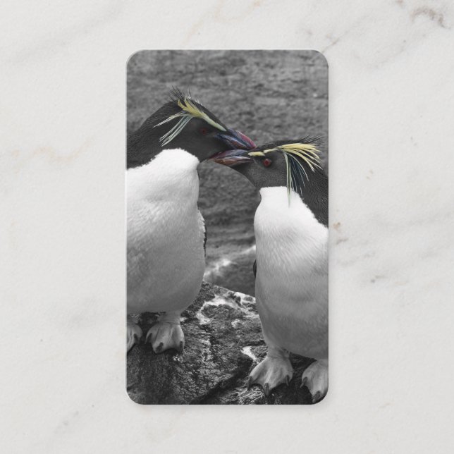 Cartão De Visita Explosão de Cor de Pinguim (Frente)