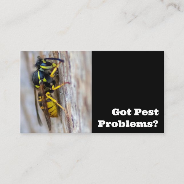 Cartão De Visita Exterminador de pragas para vespas de vespas para  (Frente)