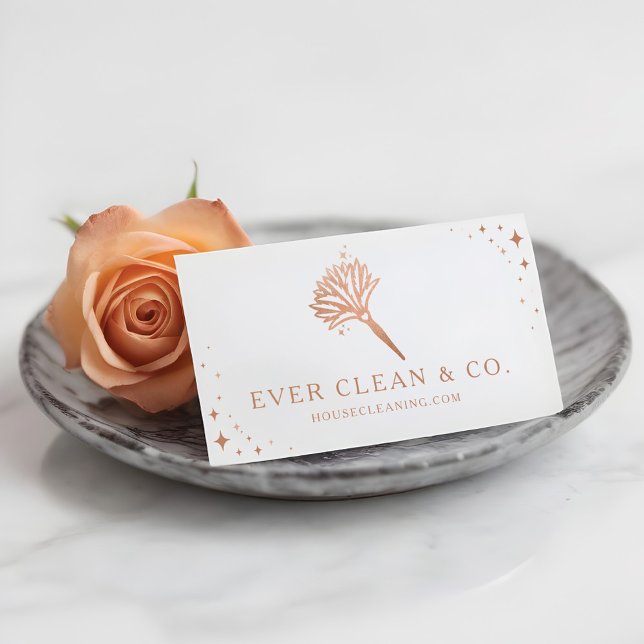 Cartão De Visita Feather Duster Professional Maid & House Clearing (Feather Duster Professional Maid & House Cleaning Business Card)