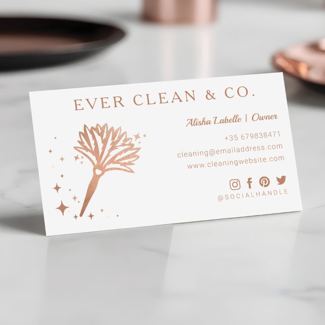Cartão De Visita Feather Duster Professional Maid & House Clearing (Feather Duster Professional Maid & House Cleaning Business Card)