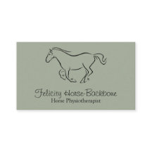 Fisioterapeuta eqüino