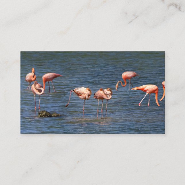 Cartão De Visita Flamingos (Frente)